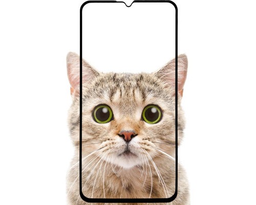 Скло захисне BeCover Samsung Galaxy M15 5G SM-M156 Black (711044)