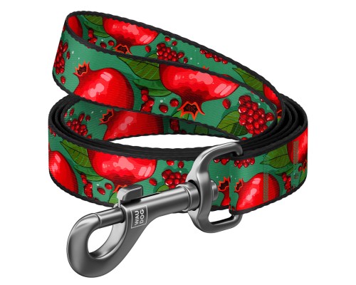 Повідець для собак WAUDOG Nylon 