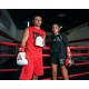 Боксерські рукавички Title Boxing All Heart Bag Gloves 2.0 Black/Red 10 oz (AHABG2 10 oz BK/RD)