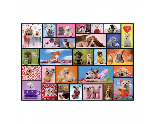 Пазл Educa Загальні моменти 1000 елементів (6425288)