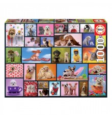 Пазл Educa Загальні моменти 1000 елементів (6425288)