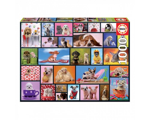 Пазл Educa Загальні моменти 1000 елементів (6425288)