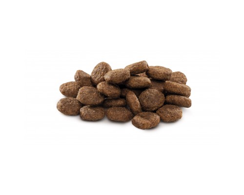 Сухий корм для собак Brit Premium Dog Junior L 15 кг (8595602526437)