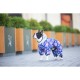 Комбінезон для тварин Collar WAUDOG Clothes 