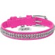 Нашийник для тварин WAUDOG Glamour з QR-паспортом 