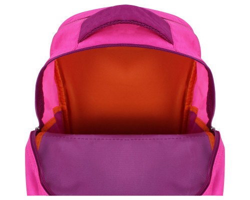Рюкзак шкільний Bagland Відмінник 20 л. 143 малина 512 (0058070) (41826869)