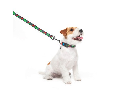 Повідок для собак WAUDOG Nylon 