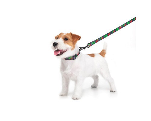 Повідок для собак WAUDOG Nylon 