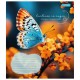 Зошит 1 вересня А5 1В Butterfly 36 аркушів лінія (767340)