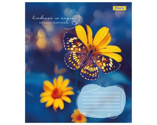 Зошит 1 вересня А5 1В Butterfly 36 аркушів лінія (767340)