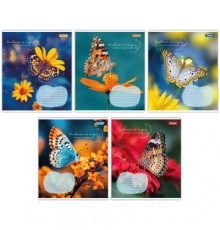 Зошит 1 вересня А5 1В Butterfly 36 аркушів лінія (767340)