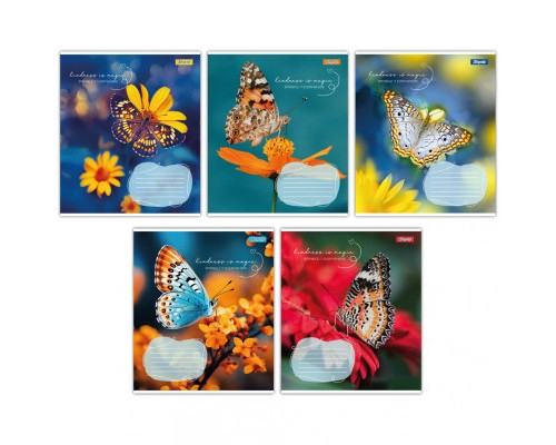 Зошит 1 вересня А5 1В Butterfly 36 аркушів лінія (767340)