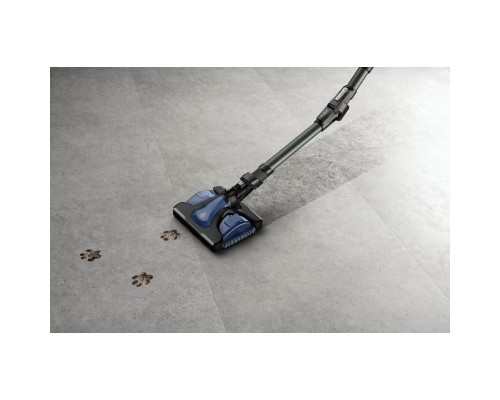 Пилосос Rowenta RH98C8WO