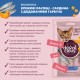 Ласощі для котів Delickcious Сардина з додаванням гарбуза 4 х 15 г (4820269141636)