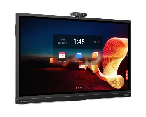 LCD панель Lenovo ThinkVision T65 Raven Black (62F2WA1CEK)