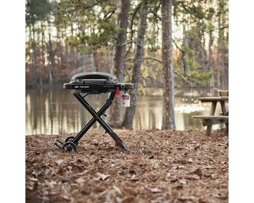 Гриль-барбекю Weber Traveler Compact Portable Black (1500527)