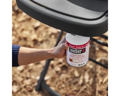 Гриль-барбекю Weber Traveler Compact Portable Black (1500527)