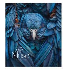 Зошит Школярик THE MUSE 48 аркушів лінія (048-3444L)
