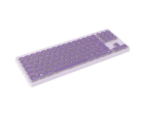 Клавіатура Canyon OnType 10 TKL Mechanical Silent Low-profile USB UA Violet (CNS-HKB10V)