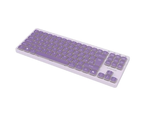 Клавіатура Canyon OnType 10 TKL Mechanical Silent Low-profile USB UA Violet (CNS-HKB10V)