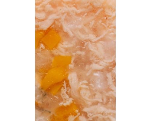 Консерви для котів Savory Chicken Fillets rich in Shrimps in Jelly for Kittens 70 г (4820261920963)