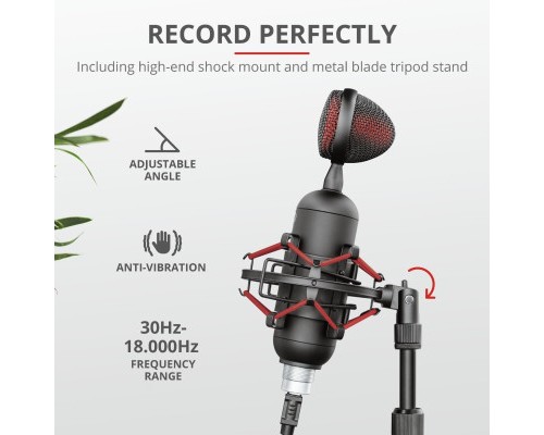 Мікрофон Trust GXT 244 Buzz USB Streaming Microphone Black (23466)