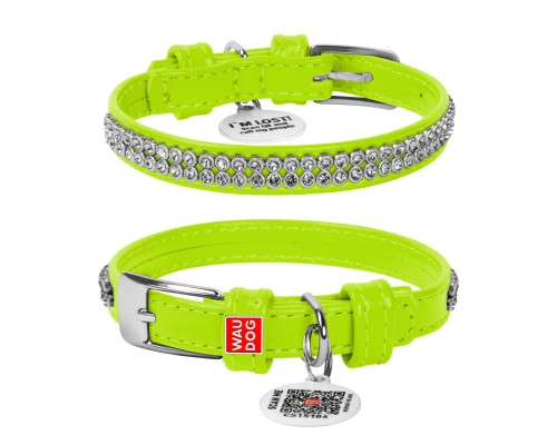 Нашийник для тварин WAUDOG Glamour з QR-паспортом 