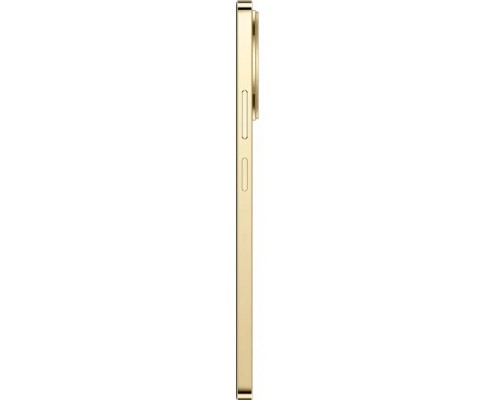 Мобільний телефон realme 11 4G 8/256GB Gold