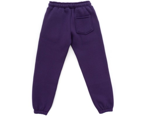 Спортивний костюм дитячий A-Yugi флісовий (7205-140G-lilac)