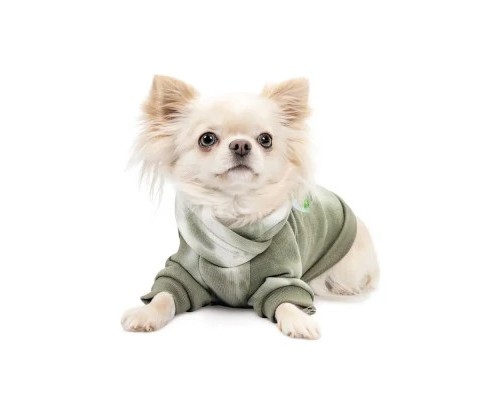 Толстовка для тварин Pet Fashion Gray XS (4823082434770)
