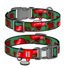 Нашийник для тварин WAUDOG Nylon з QR паспортом 
