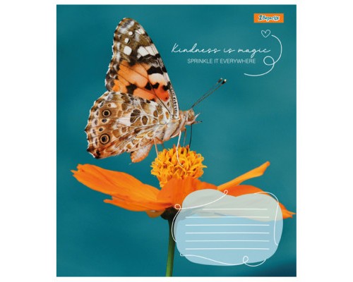 Зошит 1 вересня А5 1В Butterfly 48 аркушів клітинка (767357)