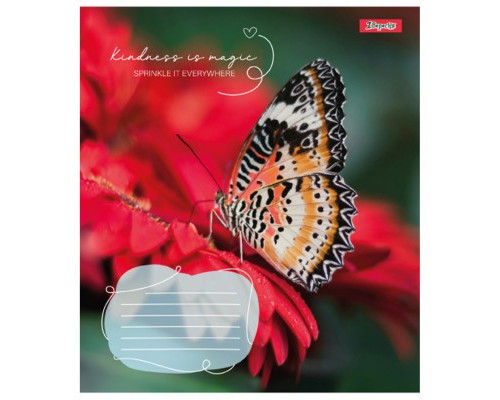 Зошит 1 вересня А5 1В Butterfly 48 аркушів клітинка (767357)