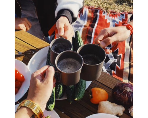 Чашка туристична Naturehike NH20CJ005 титанова з ручкою 300 мл (6927595745779)