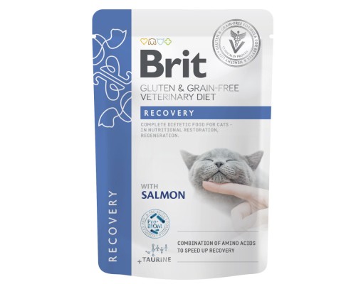 Вологий корм для кішок Brit GF VetDiets Recovery з лососем 85 г (8595602566693) Вологий корм для кішок Brit GF VetDiets Recovery з лососем 85 г (8595602566693)