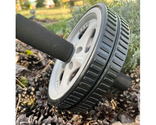 Ролик для преса PowerPlay Exercise Wheel Сірий (PP_4345)