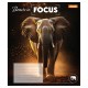 Зошит 1 вересня Beasts in Focus А5 96 аркушів лінія (768065)