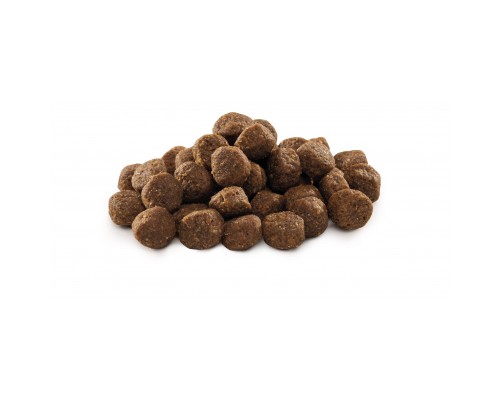 Сухий корм для собак Brit Premium Dog Junior M 3 кг (8595602526321)