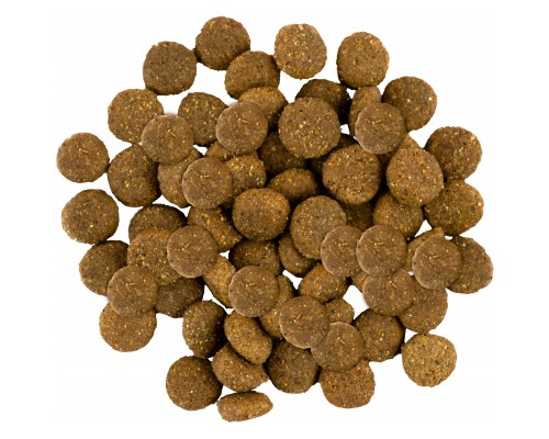 Сухий корм для собак Savory Junior Large rich in Fresh Turkey and Chicken 12 кг (4820232630211)