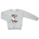 Спортивний костюм дитячий Breeze флісовий (18016-104B-gray)
