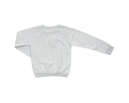 Спортивний костюм дитячий Breeze флісовий (18016-104B-gray)