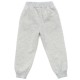 Спортивний костюм дитячий Breeze флісовий (18016-104B-gray)