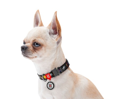 Нашийник для тварин WAUDOG Nylon з QR паспортом NASA металічна пряжка-фастекс L (5121)