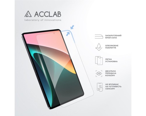 Скло захисне ACCLAB Full Glue Xiaomi PAD 5 11