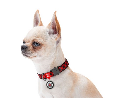 Нашийник для тварин WAUDOG Nylon з QR паспортом 