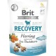 Ласощі для собак Brit Care Functional Recovery 150 г - оселедець (8595602540020)