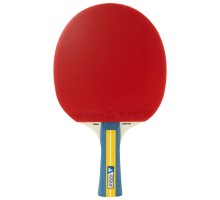 Ракетка для настільного тенісу Joola Team Master (52001) (930771)