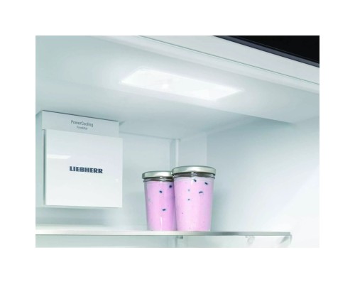 Холодильник Liebherr SRD5220