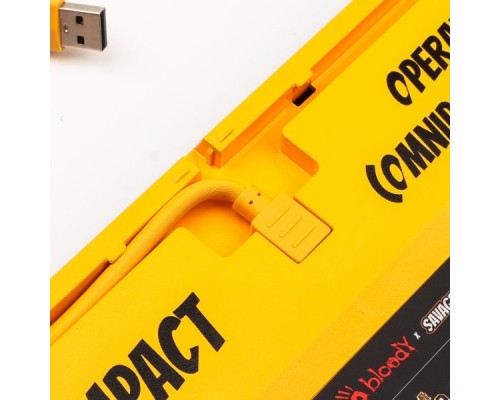 Клавіатура A4Tech Bloody AT87 USB Renegade (4711421000734)