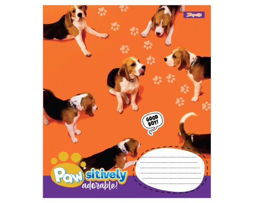 Зошит 1 вересня Pawsitively А5 12 аркушів лінія (768236)